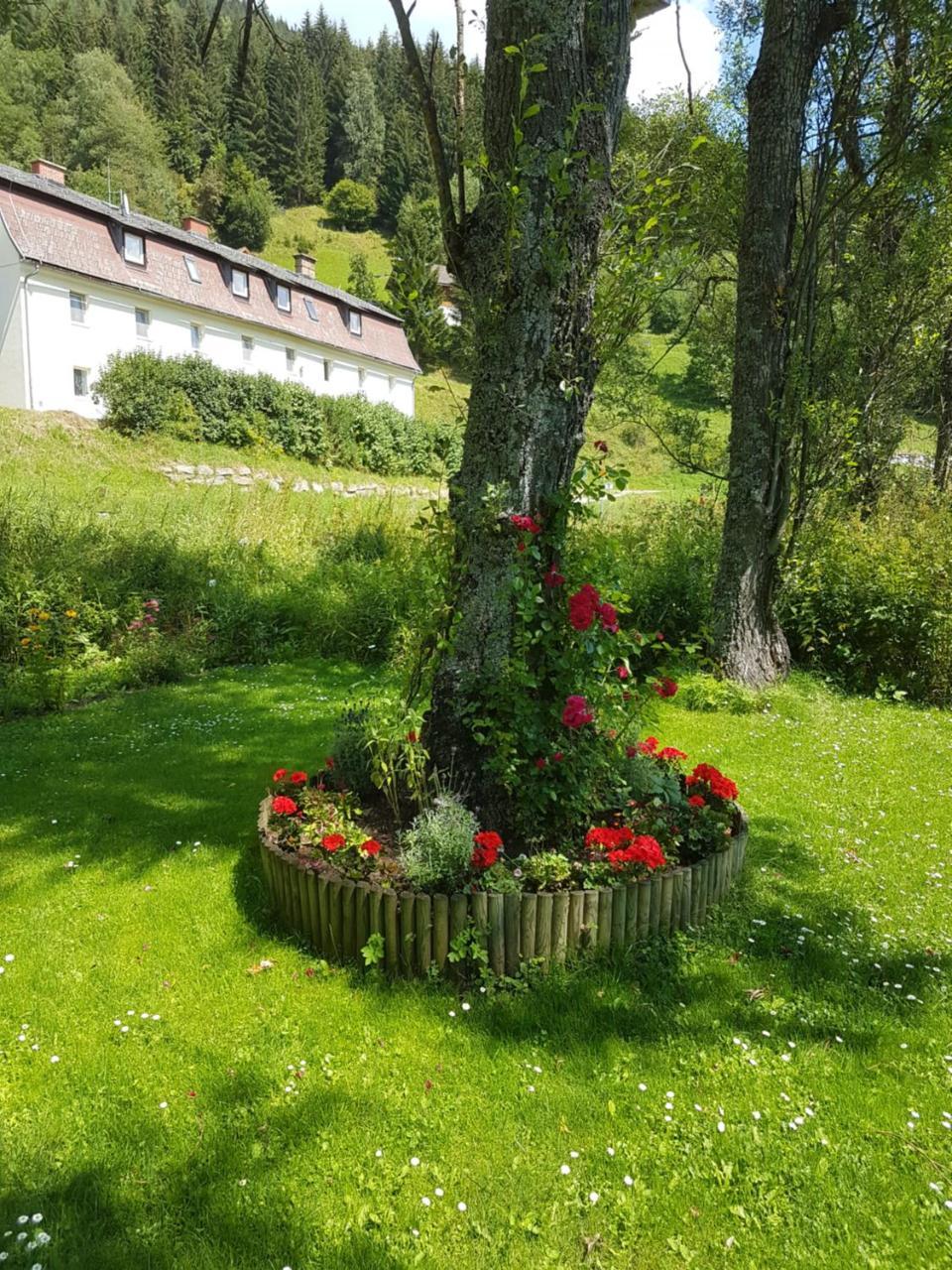 Riverside Ski Apartment Ramingstein Exterior photo